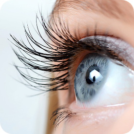eye