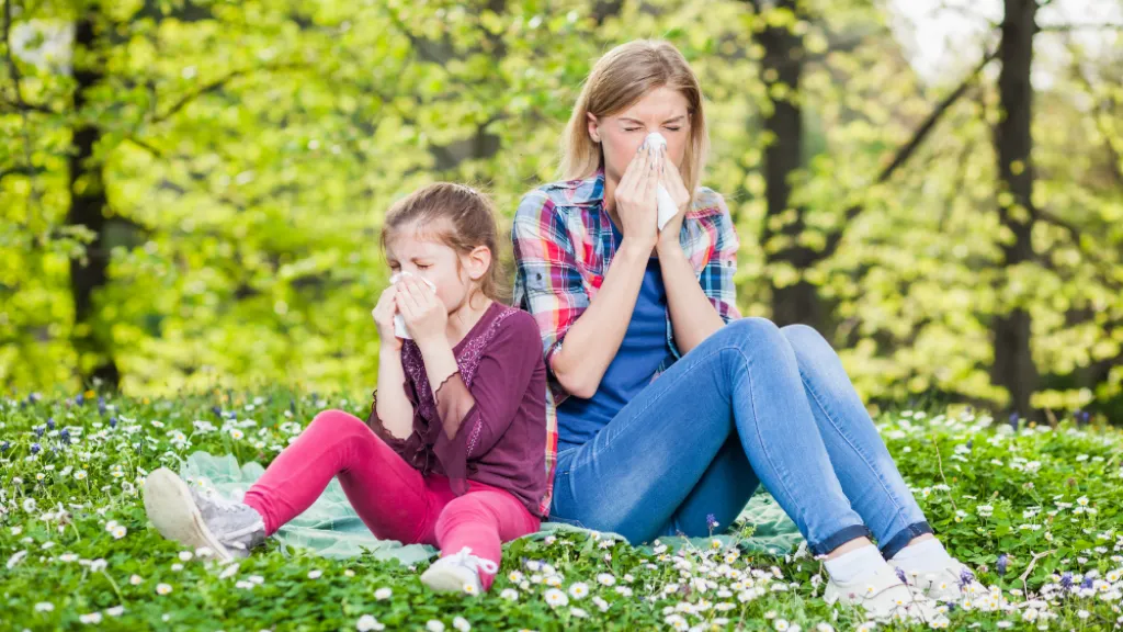 https://decare23.proactivedigital.ie/wp-content/uploads/2024/03/Allergies-CP-640x300-c-default.webp