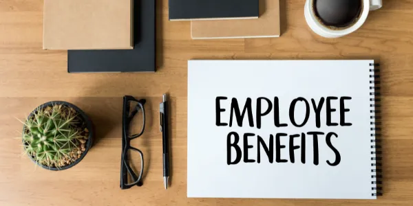 https://decare23.proactivedigital.ie/wp-content/uploads/2024/03/Benefits-Blog-Photo-2-600-x-300-px.webp