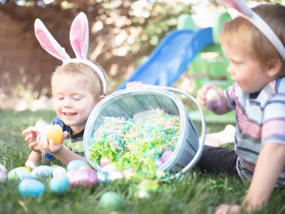 https://decare23.proactivedigital.ie/wp-content/uploads/2024/03/Easter-cp.webp