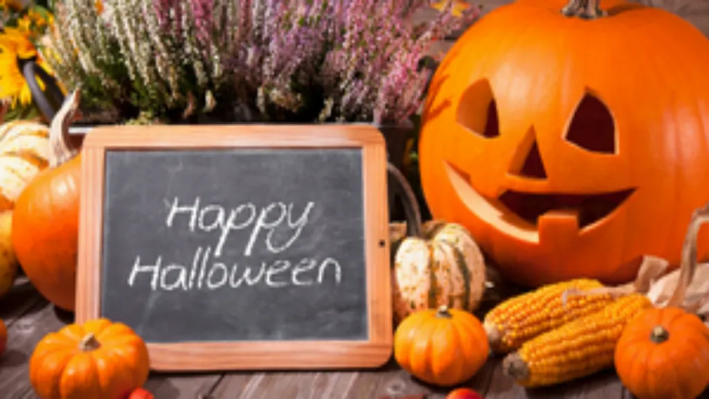 https://decare23.proactivedigital.ie/wp-content/uploads/2024/03/Halloween-2015-CP-640x300-c-default.webp