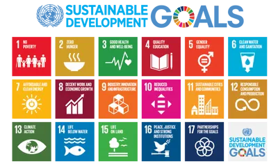 https://decare23.proactivedigital.ie/wp-content/uploads/2024/03/Sustainability-CP.webp